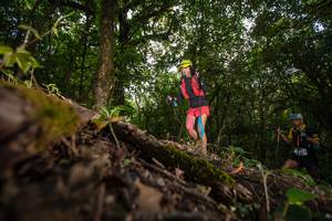 BIB: 353
                            <button type="button" onclick="openModal(16007841)" class="btn btn-primary btn-sm float-right btn-popup" data-toggle="modal" data-target=".modal-high-quality">
                        <i class="fas fa-shopping-cart"></i> Add to Cart
                    </button>
                                            <button type="button" onclick="isThisMe(16007841, true)" class="btn btn-success btn-sm float-right btn-popup btn-isme hidden" data-toggle="tooltip" data-placement="bottom" title="นี่คือรูปของคุณใช่ไหม คลิกที่นี่เพื่อเอาเข้าอัลบั้ม">
                        <i class="fas fa-plus"></i> Add to album
                    </button>
                    <button type="button" onclick="isThisMe(16007841, false)" class="btn btn-warning btn-sm float-right btn-popup btn-isnotme hidden">
                        <i class="fas fa-ban"></i> Remove from album
                    </button>